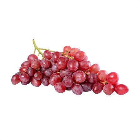 f0459cb0-762e-453d-9e8d-0f2c1cbaba05