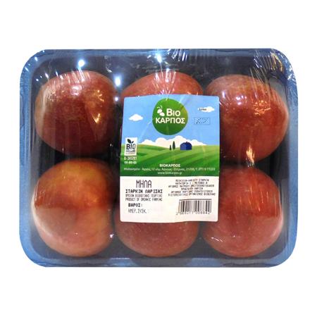 f45ea3b9-9482-4ef6-9b10-24846493e267