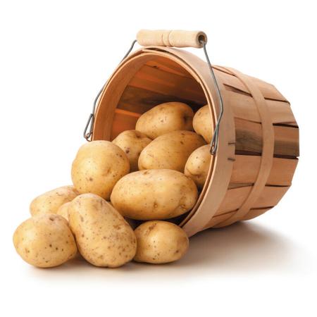 f57820ab-e5fb-4916-8ebc-ec95a87d03f8