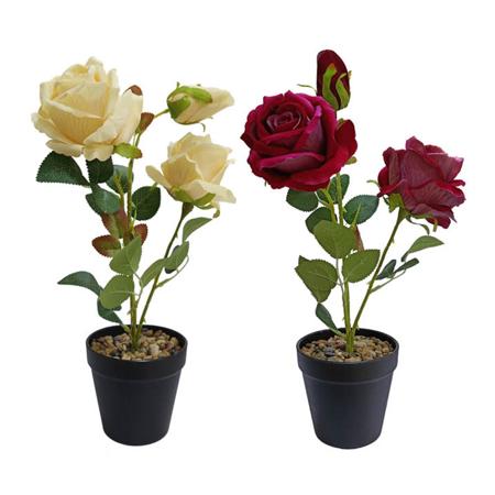 f923b9f6-f8d3-4351-beda-17b0584c44eb