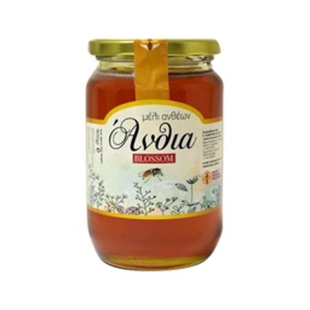 fb0fa631-f4dc-48ac-9f35-f328fc455b01