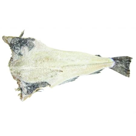 fba362a3-a9ba-4c09-a3c0-b280315dddeb